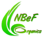 nbef-logo