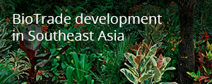 ProFound story: Biotrade development in southeast Asia