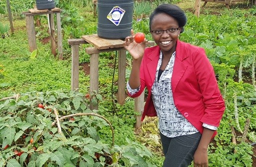 Green Rhino team in Kenya working for food safety