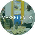 Market Entry - ProFound