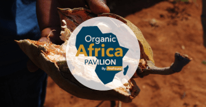 Organic Africa Pavilion