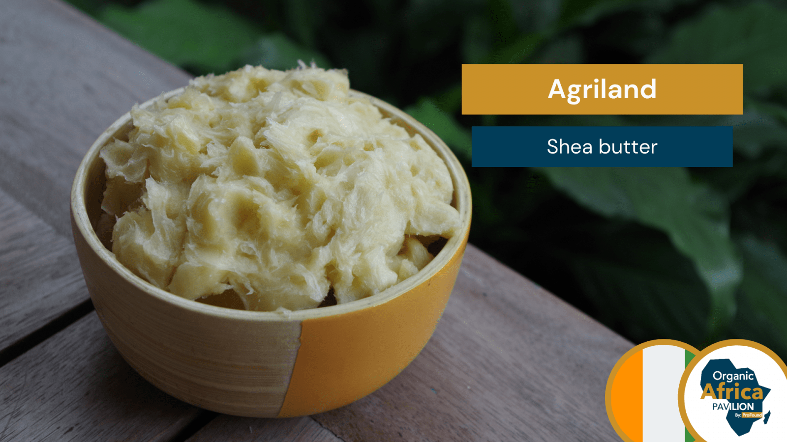 Agriland ProFound Shea butter 1