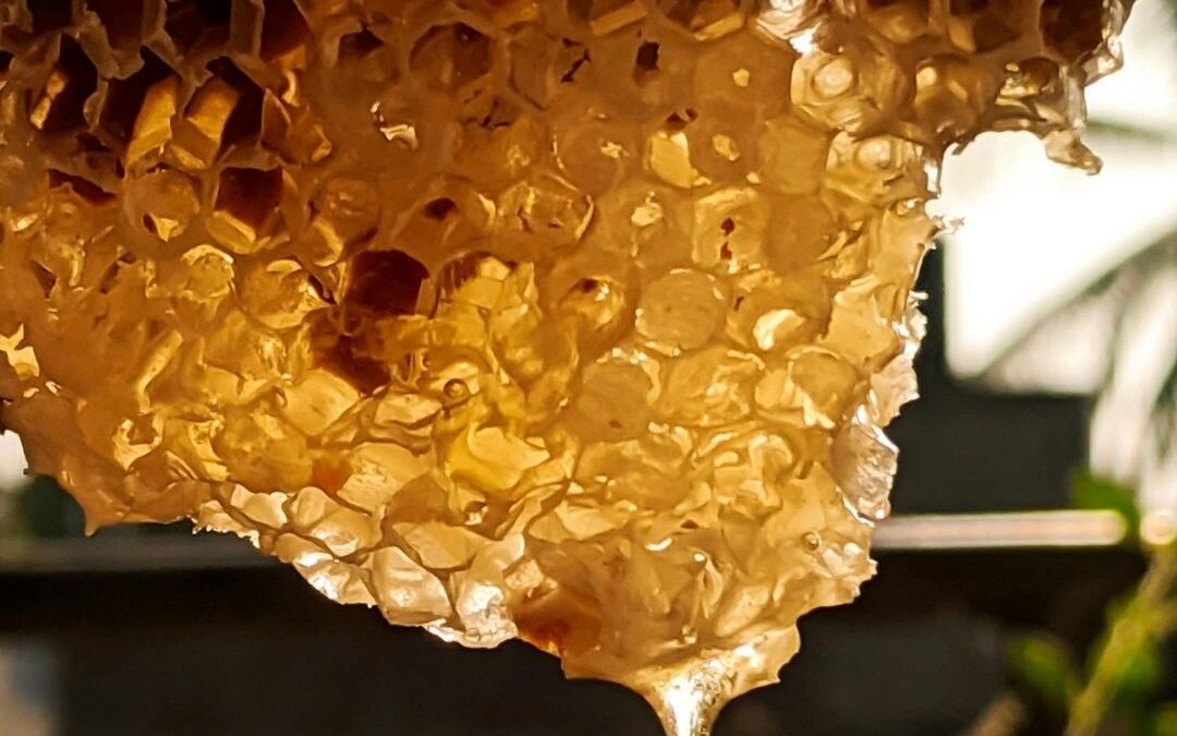 The Not So Sweet Honey Challenge