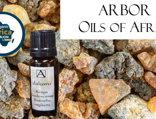 Meet Arbor Oils of Africa – Frankincense and Myrrh essential oils exporter at the Organic Africa Pavilion 2022