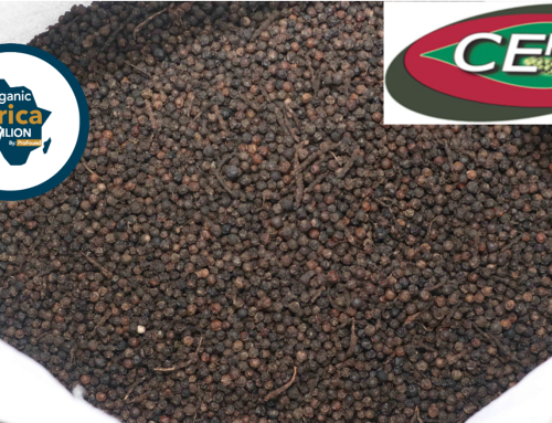Meet CEPIBA– Black, White and Red Pepper exporter at the Organic Africa Pavilion 2022