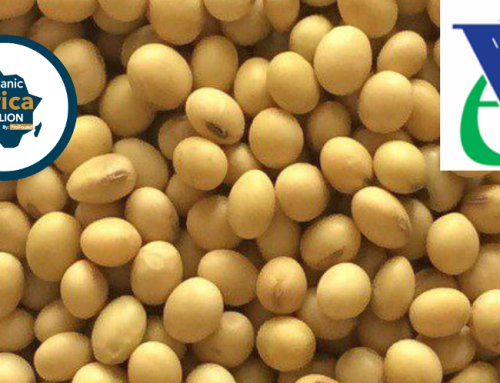 Meet Anemaw– Sesame seed and soya beans/meal exporter at the Organic Africa Pavilion 2022