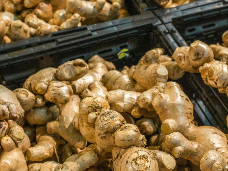 Turning Threats into Opportunities: Hugo Lamers Discusses the Ginger Sector in Nigeria 