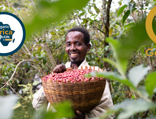 Meet Ethio Gabana– Specialty coffee exporter at the Organic Africa Pavilion 2022