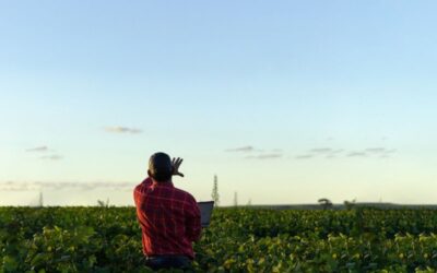 Multisectoral value chain analysis ‘Connecting Central America’