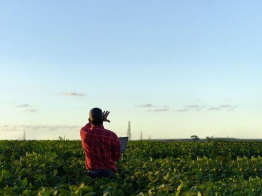 Multisectoral value chain analysis ‘Connecting Central America’