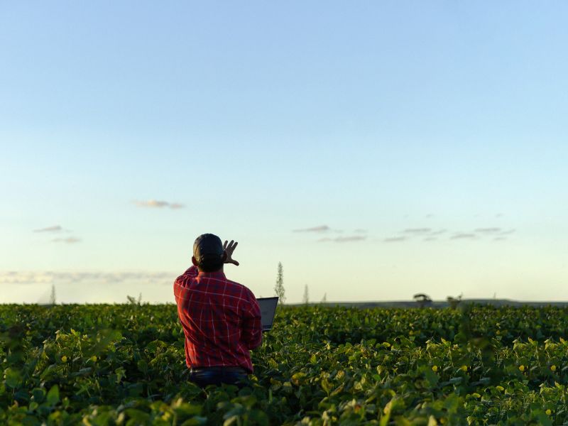 Multisectoral value chain analysis ‘Connecting Central America’