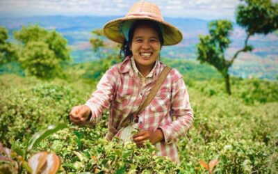 BioTrade Development in Southeast Asia