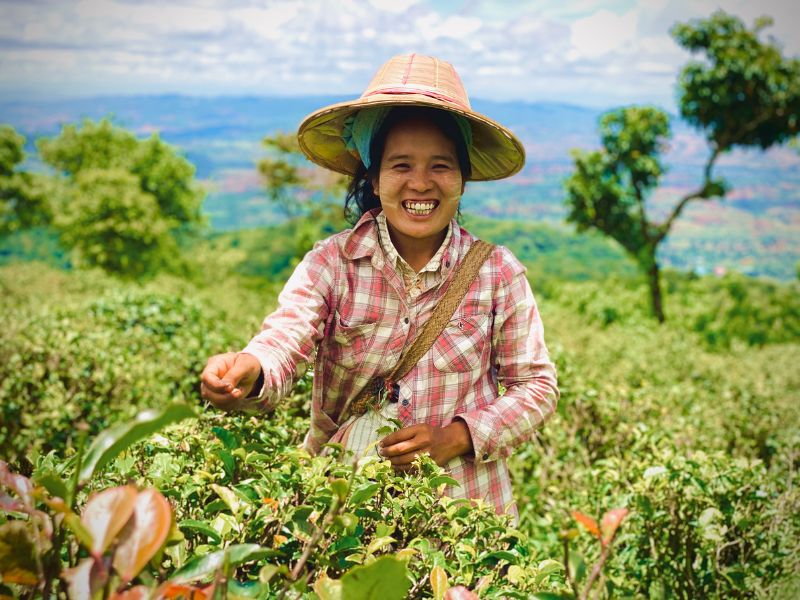 BioTrade Development in Southeast Asia