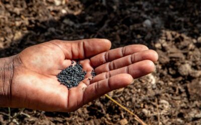 Cluster Support for the Agricultural and Food Industries in Ethiopia