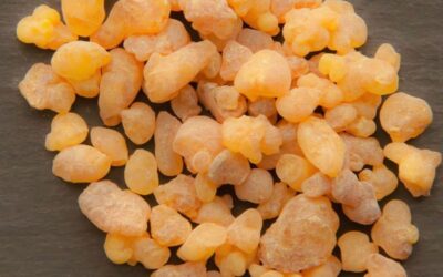 Linking Ethiopian Gums and Resins to International Markets