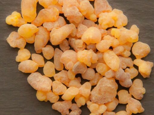 Linking Ethiopian Gums and Resins to International Markets
