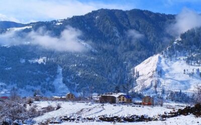 Boosting Sustainable and Equitable Trade of Jatamansi