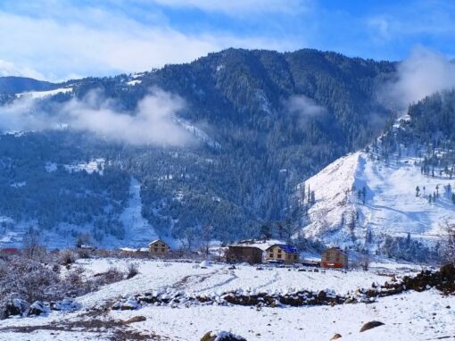 Boosting Sustainable and Equitable Trade of Jatamansi