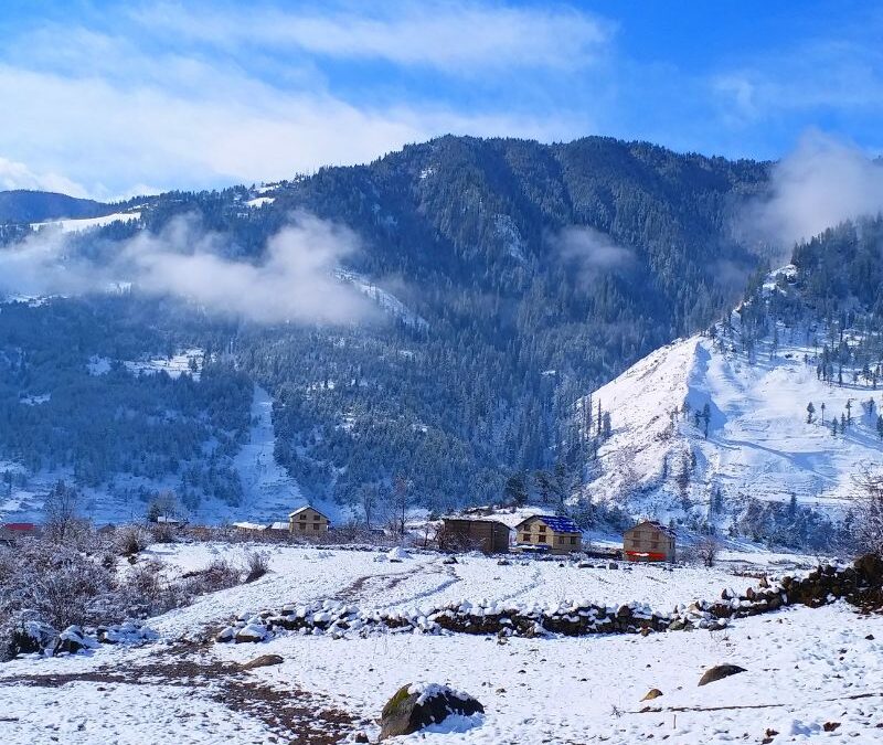 Boosting Sustainable and Equitable Trade of Jatamansi