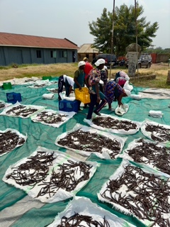 The Quest for Quality 