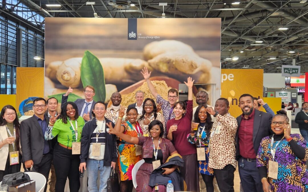 Turning Threats into Opportunities: Hugo Lamers Discusses the Ginger Sector in Nigeria 