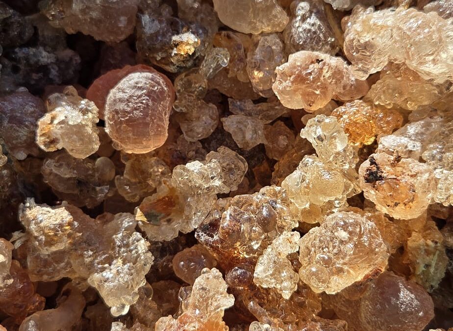 Frankincense, gums and resins: building trade that works better at origin